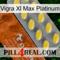 Vigra Xl Max Platinum 42